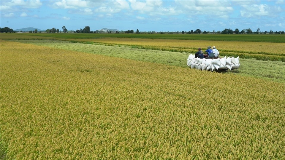 Gỡ điểm nghẽn trong sản xuất nông nghiệp Việt