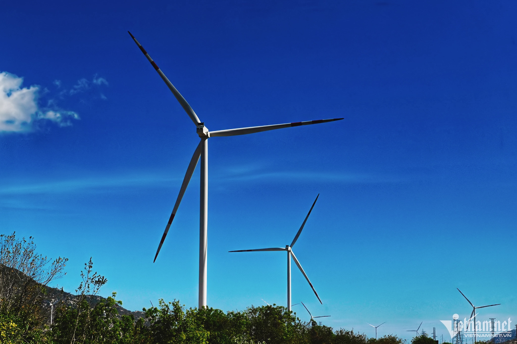 EVN nêu hướng gỡ vướng cho các dự án điện gió nghìn tỷ 'bất động'