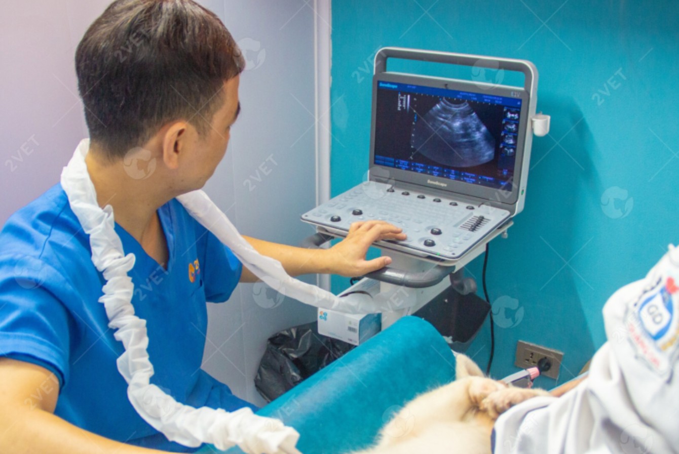 “ÔNG LỚN” SAMSUNG CHÍNH THỨC XUẤT HIỆN TRONG THỊ TRƯỜNG THÚ Y VIỆT NAM
